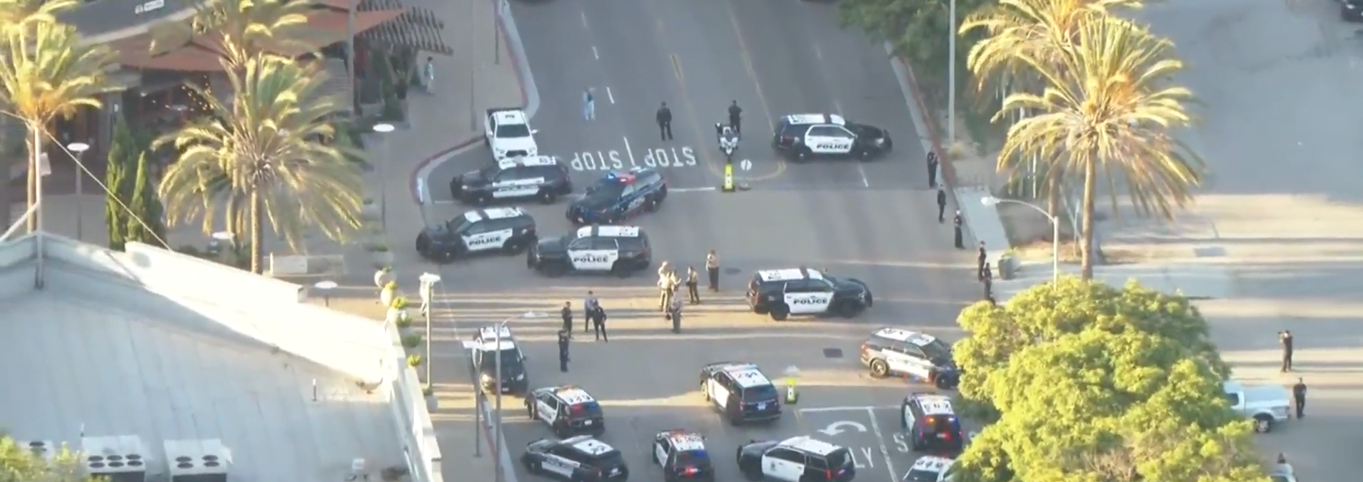 Brawl at Del Amo Fashion Center