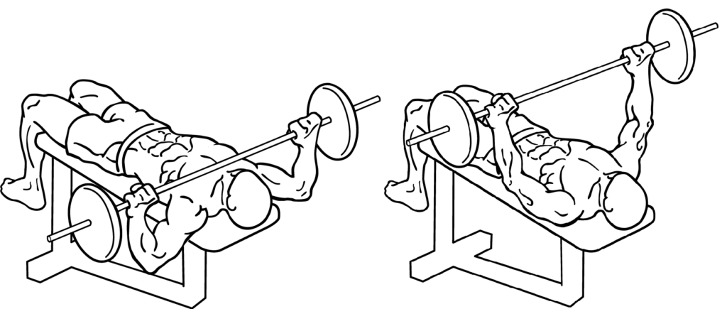 Bench Presses Exercise