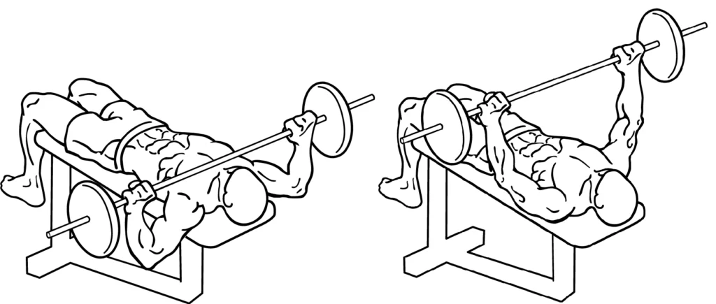 Bench Presses Exercise