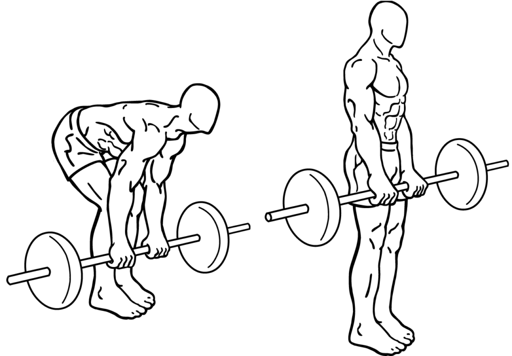 Deadlifts Exercise