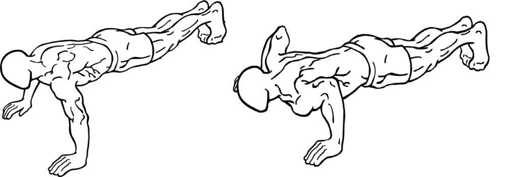 Pushups Exercise